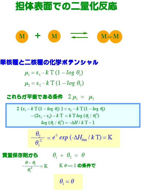 自己構築表面酸化物の熱力学